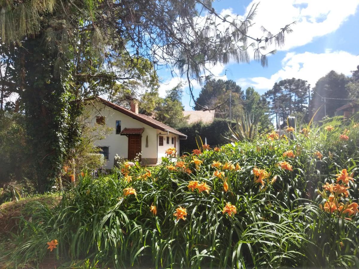 Monte Monte Verde (Minas Gerais)